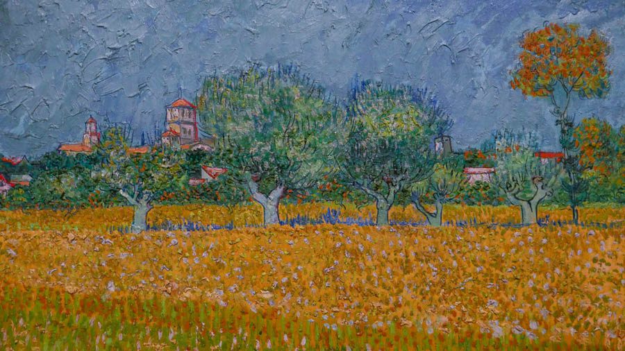 Van Gogh em Arles - Detalhe do quadro Vista de Arles com Lirios